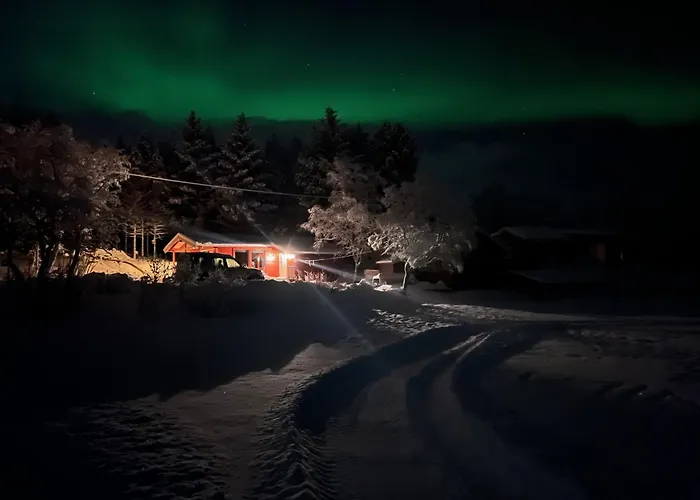 Waterfront Mountain View Cabin Lofoten