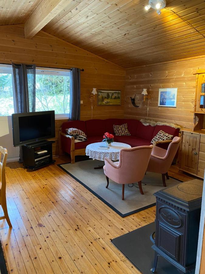 Waterfront Mountain View Lofoten Holiday home